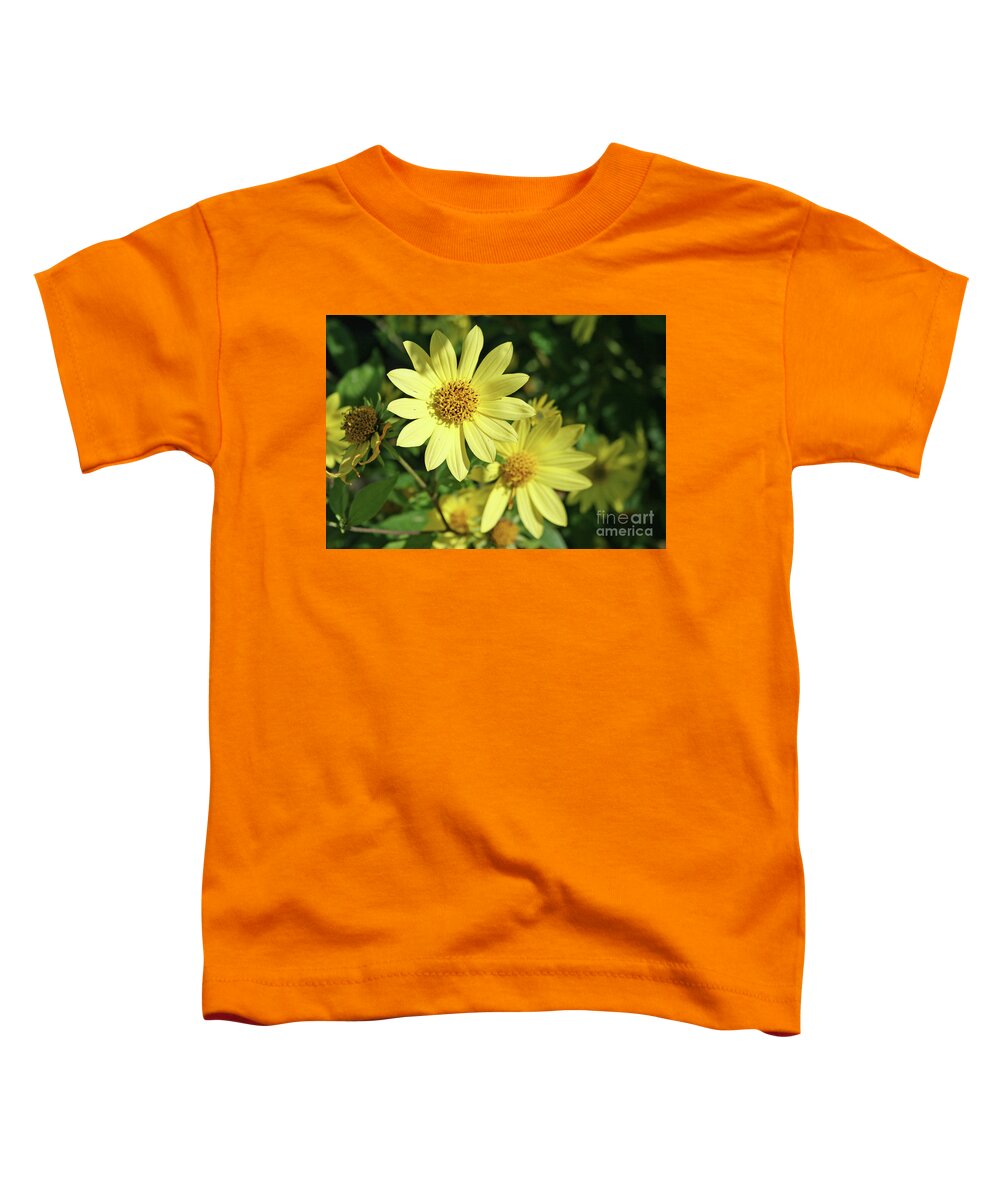 Sunshine Flowers By Norma Appleton Toddler T-Shirt featuring the photograph Sunshine Flowers by Norma Appleton