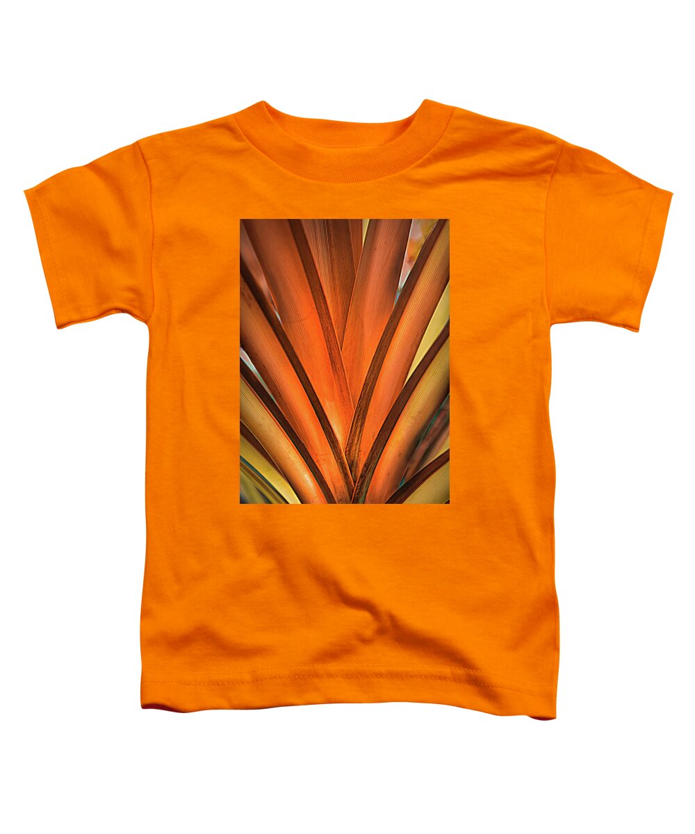 Palm Toddler T-Shirt featuring the photograph Symmetry of a Palm in Autumn by Debra and Dave Vanderlaan