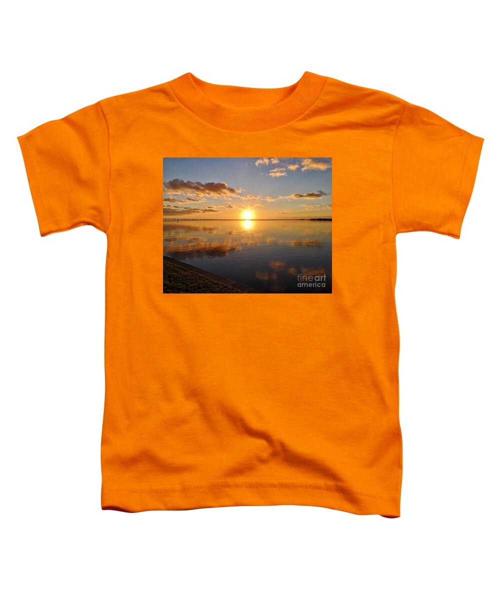 Tampa Toddler T-Shirt featuring the photograph Tampa Bay Florida Photo 175 by Lucie Dumas