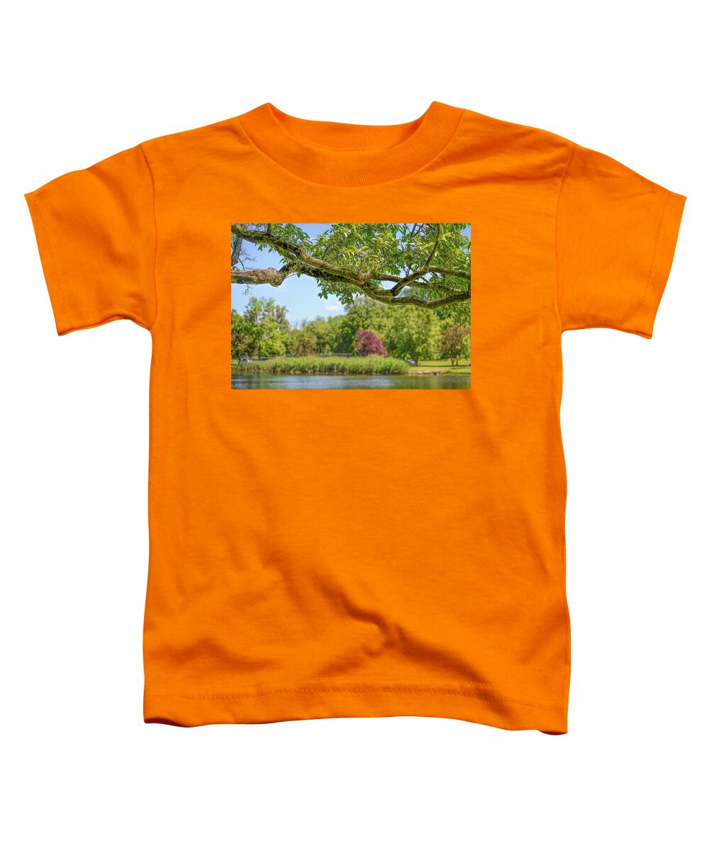 Branch Toddler T-Shirt featuring the photograph Tree Branch at Bruce Park by Cordia Murphy