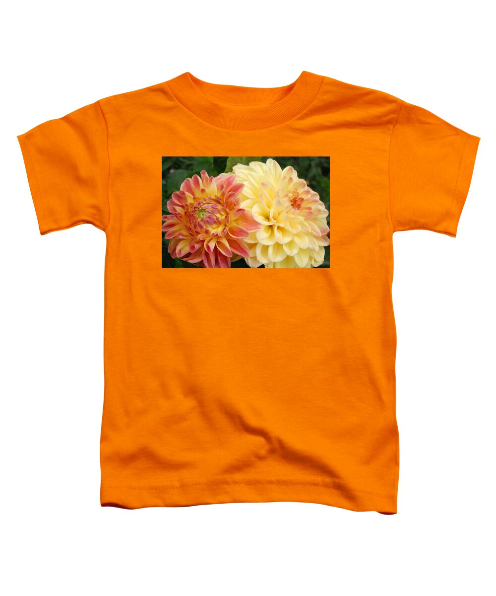 Dahlia Toddler T-Shirt featuring the photograph Yellow and Orange Dahlias 1 by Amy Fose