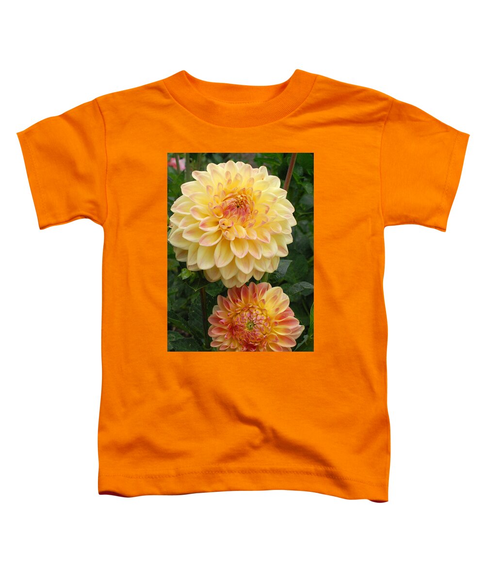 Dahlia Toddler T-Shirt featuring the photograph Yellow and Orange Dahlias 2 by Amy Fose