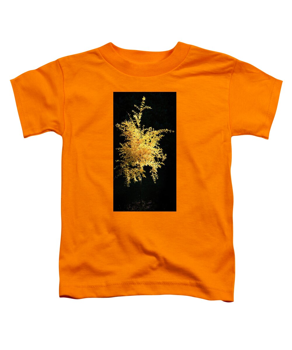 Agriculture Toddler T-Shirt featuring the photograph Yellow pomegranate tree on a dark background. by Jean-Luc Farges