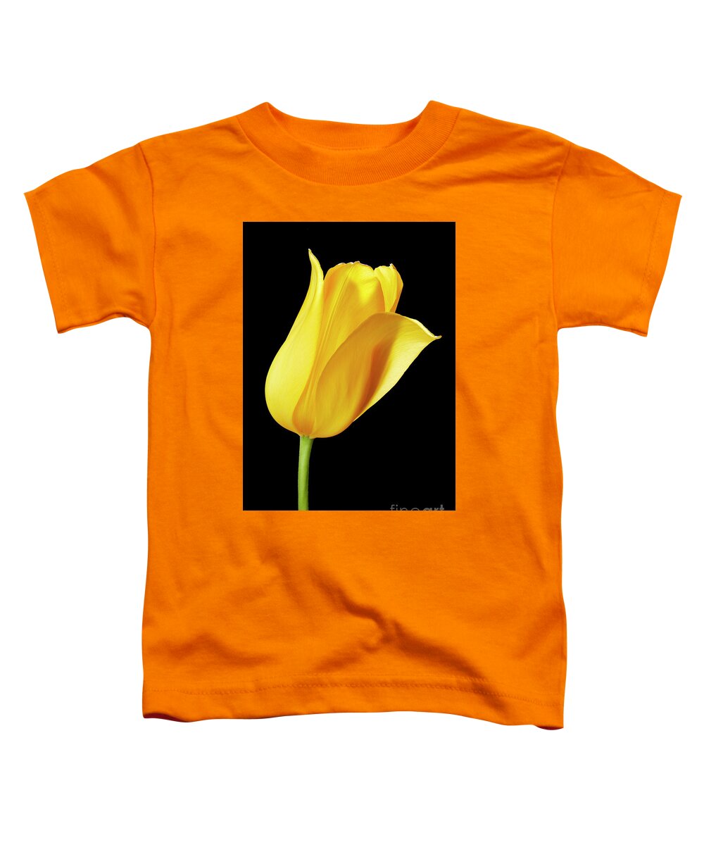 Tulips Toddler T-Shirt featuring the photograph Yellow tulip by Tony Cordoza