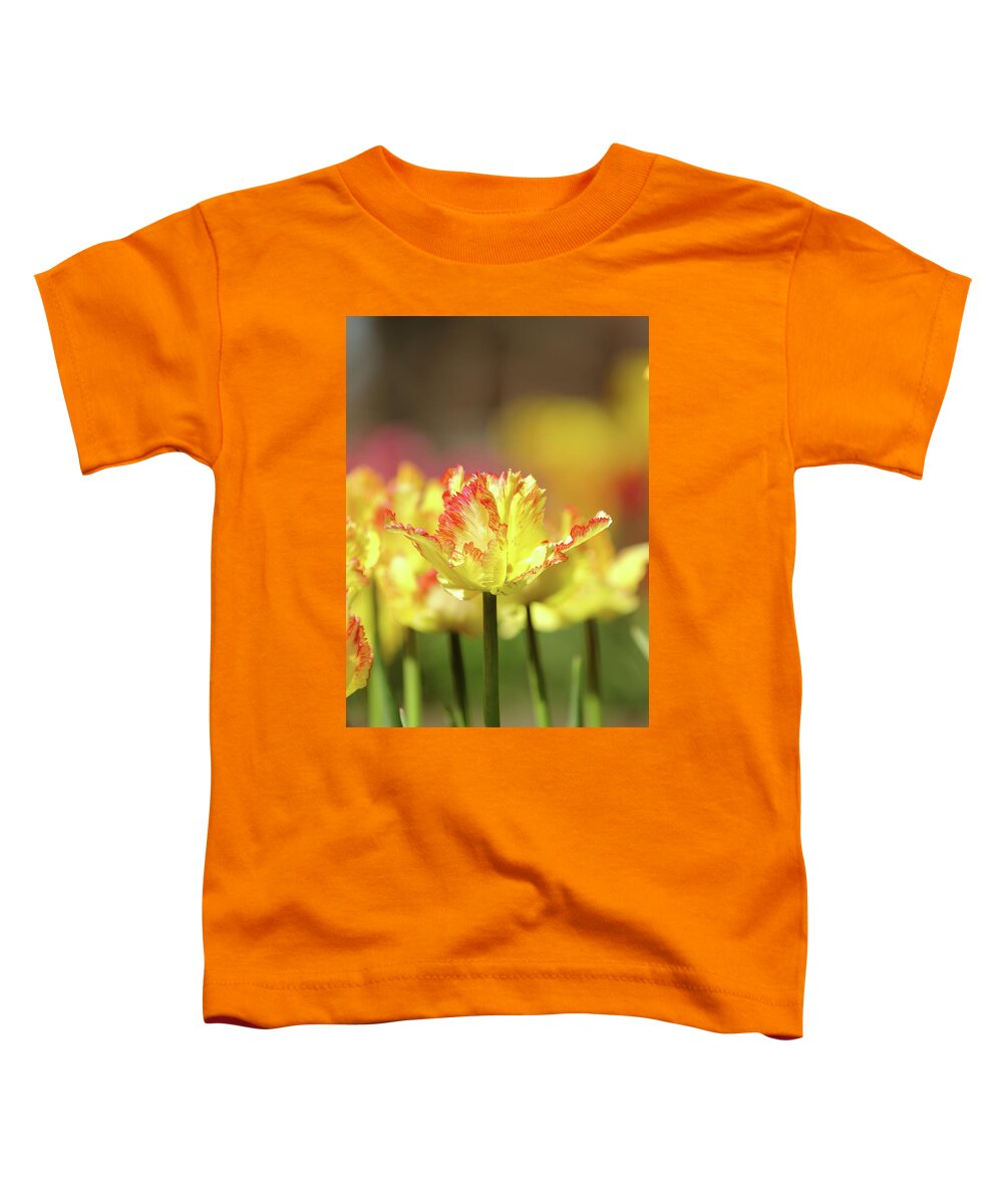 Nature Toddler T-Shirt featuring the photograph You Light Up My Life by Lens Art Photography By Larry Trager
