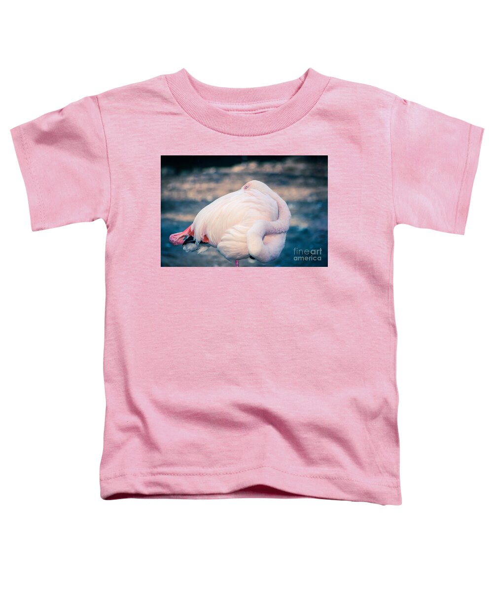 Animal Toddler T-Shirt featuring the photograph Flamingo 2b #1 by Hannes Cmarits