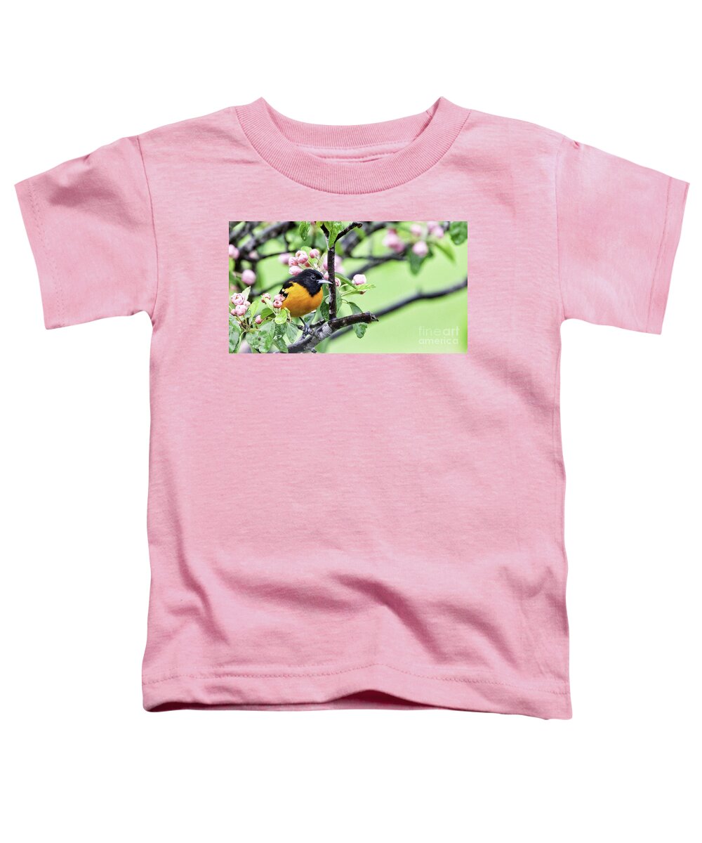 Baltimore Oriole Toddler T-Shirt featuring the photograph Pretty in Pink #1 by Jan Killian