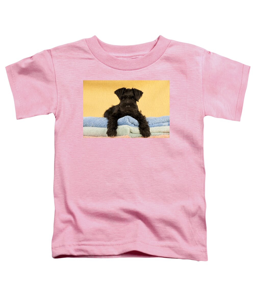 Dog Toddler T-Shirt featuring the photograph Miniature Schnauzer Puppy #2 by John Daniels