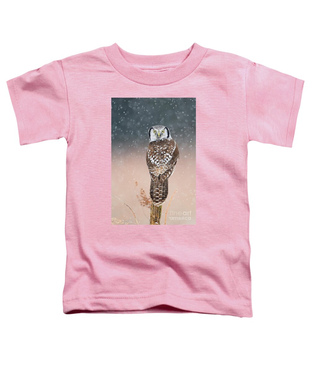 Bird Toddler T-Shirt featuring the photograph Northern Hawk Owl #6 by Scott Linstead