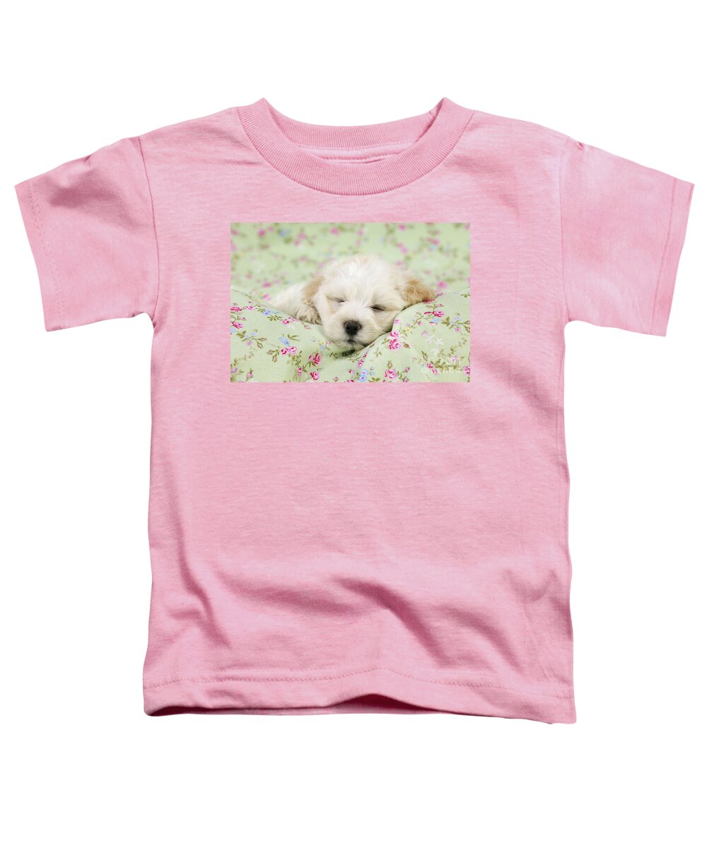 Dog Toddler T-Shirt featuring the photograph Teddy Bear Puppy Dog #2 by John Daniels