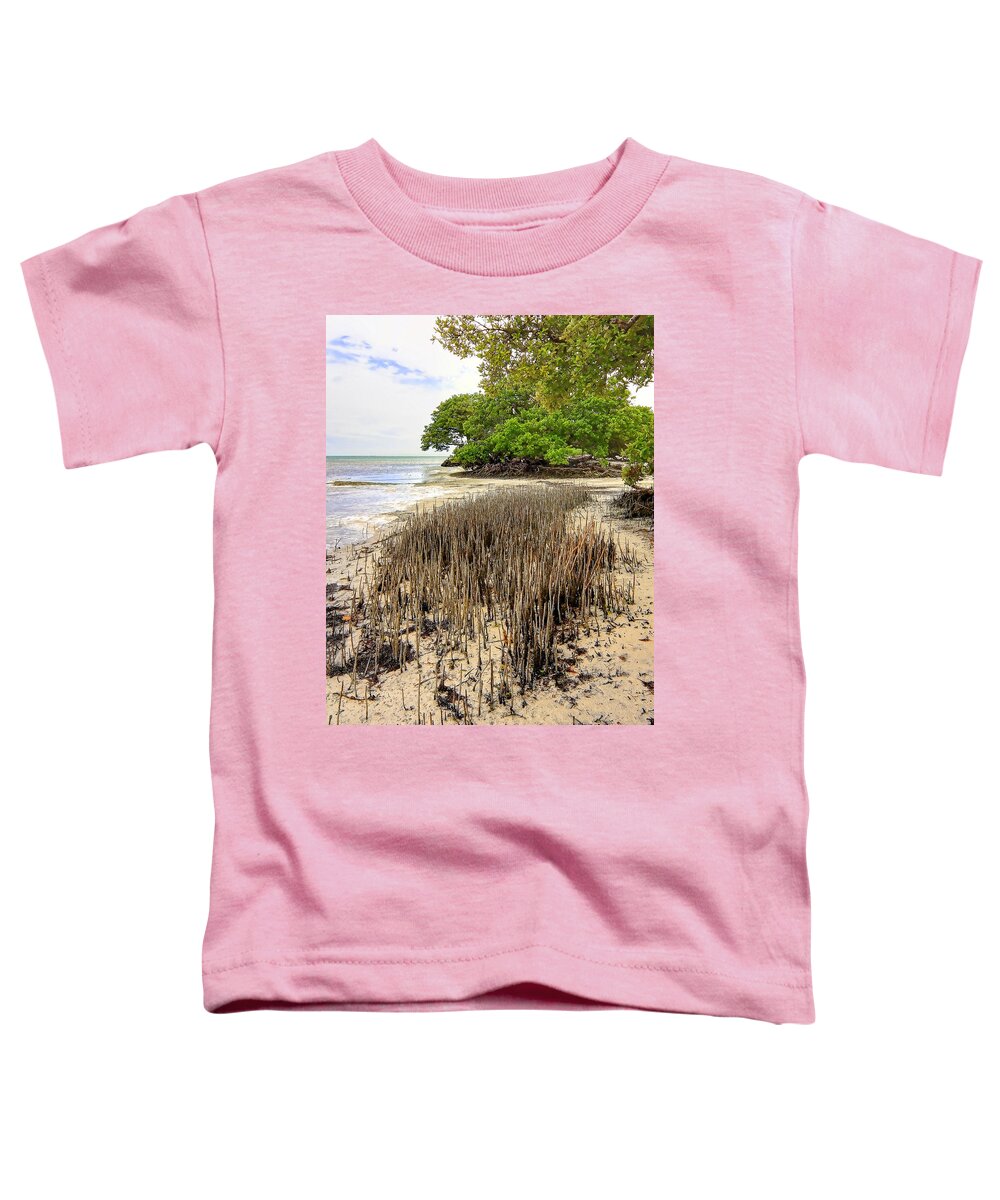 Florida Toddler T-Shirt featuring the photograph Anne's Beach-2 by Rudy Umans