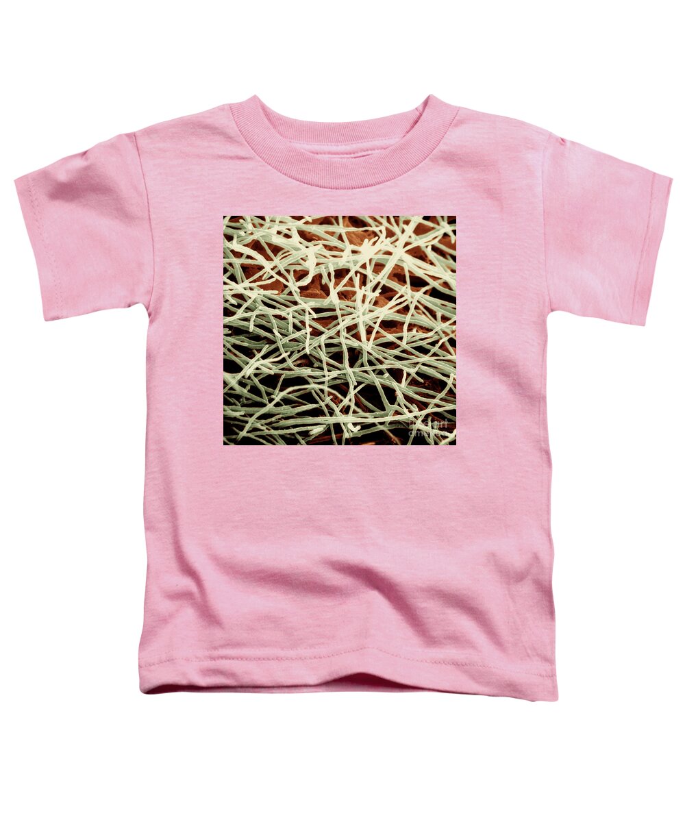 Candida Toddler T-Shirt featuring the photograph Candida, Sem #9 by David M. Phillips