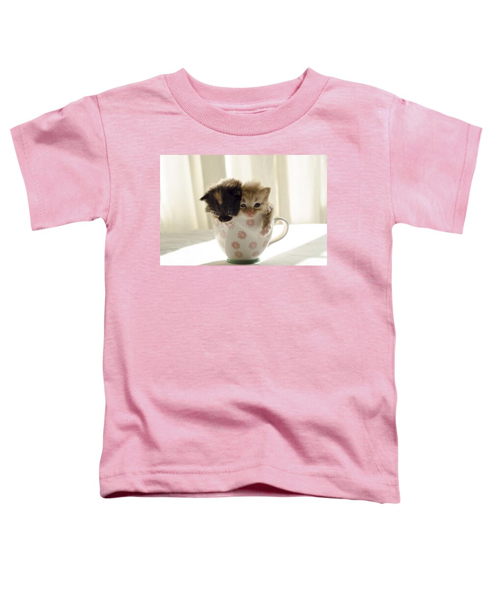 Cute Toddler T-Shirt featuring the photograph A cup of cuteness by Spikey Mouse Photography