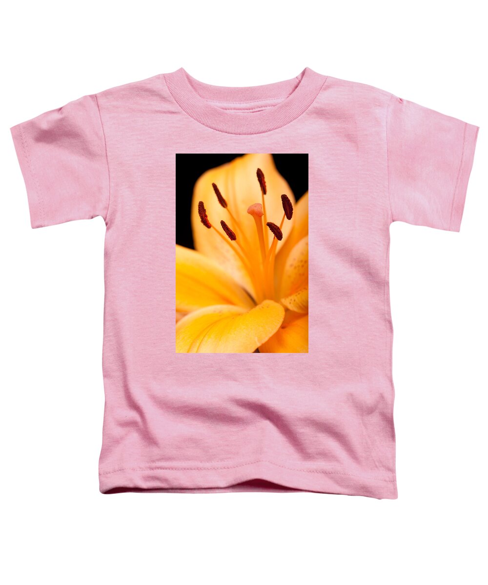 Floral Toddler T-Shirt featuring the photograph Asian Lily by Sebastian Musial