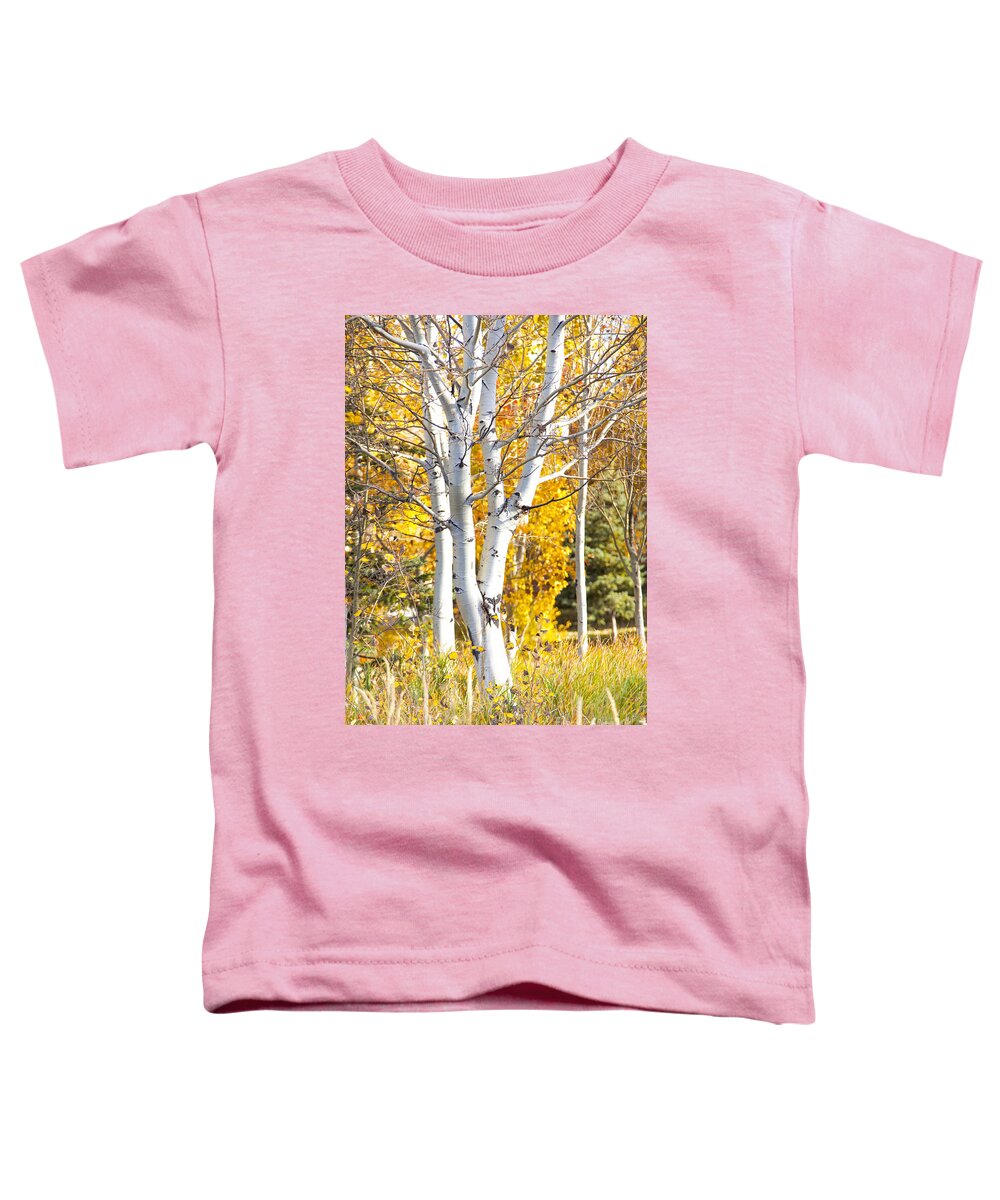 Utah Toddler T-Shirt featuring the photograph Aspens in fall by David Millenheft