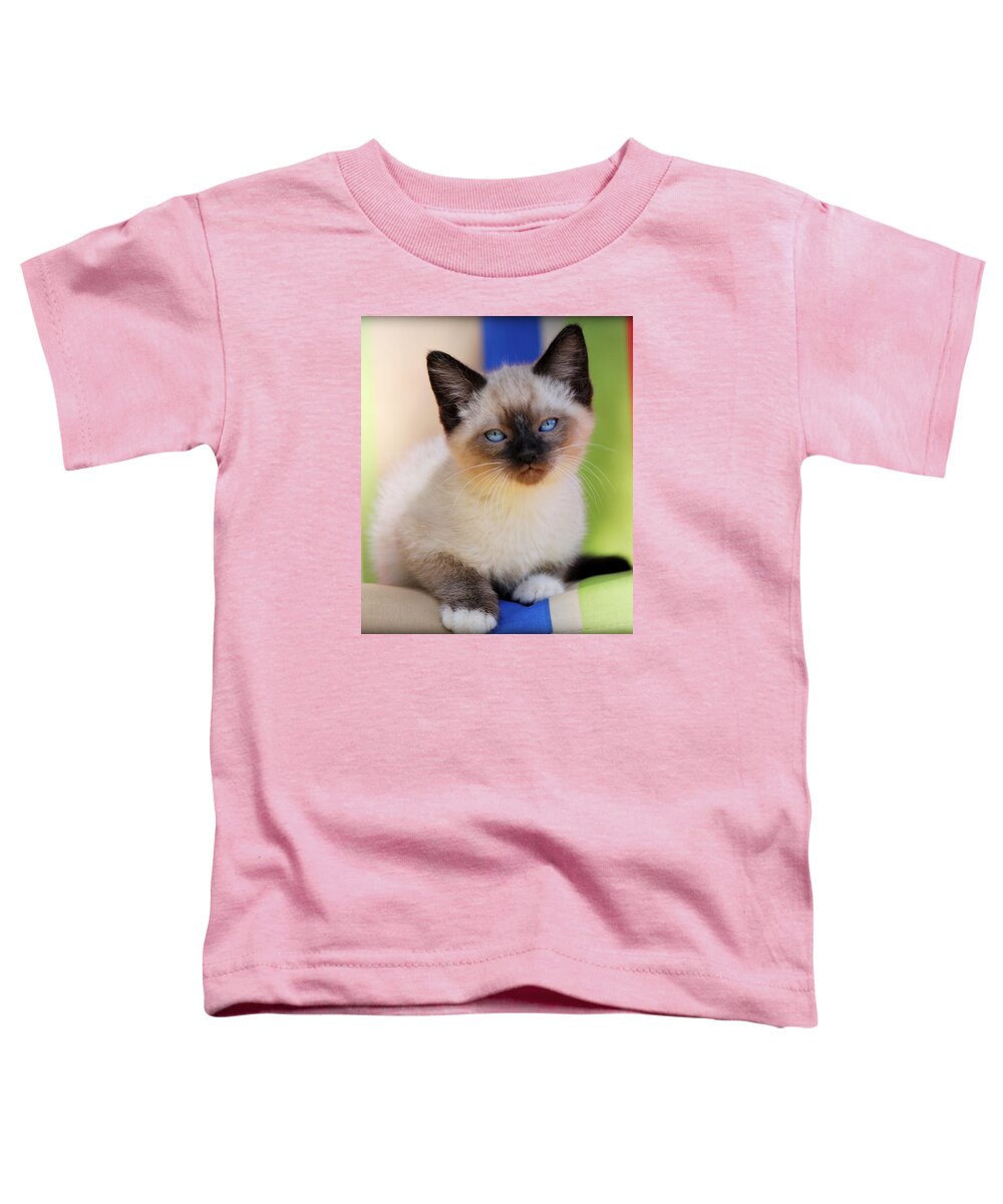 Kitten Toddler T-Shirt featuring the photograph Baby Blues by Melanie Lankford Photography