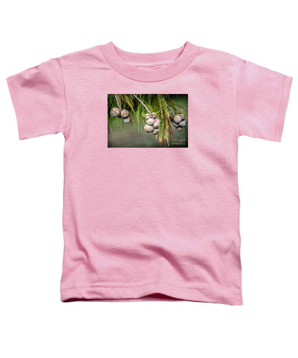 Bald Toddler T-Shirt featuring the photograph Bald Cypress tree seed pods by Imagery by Charly