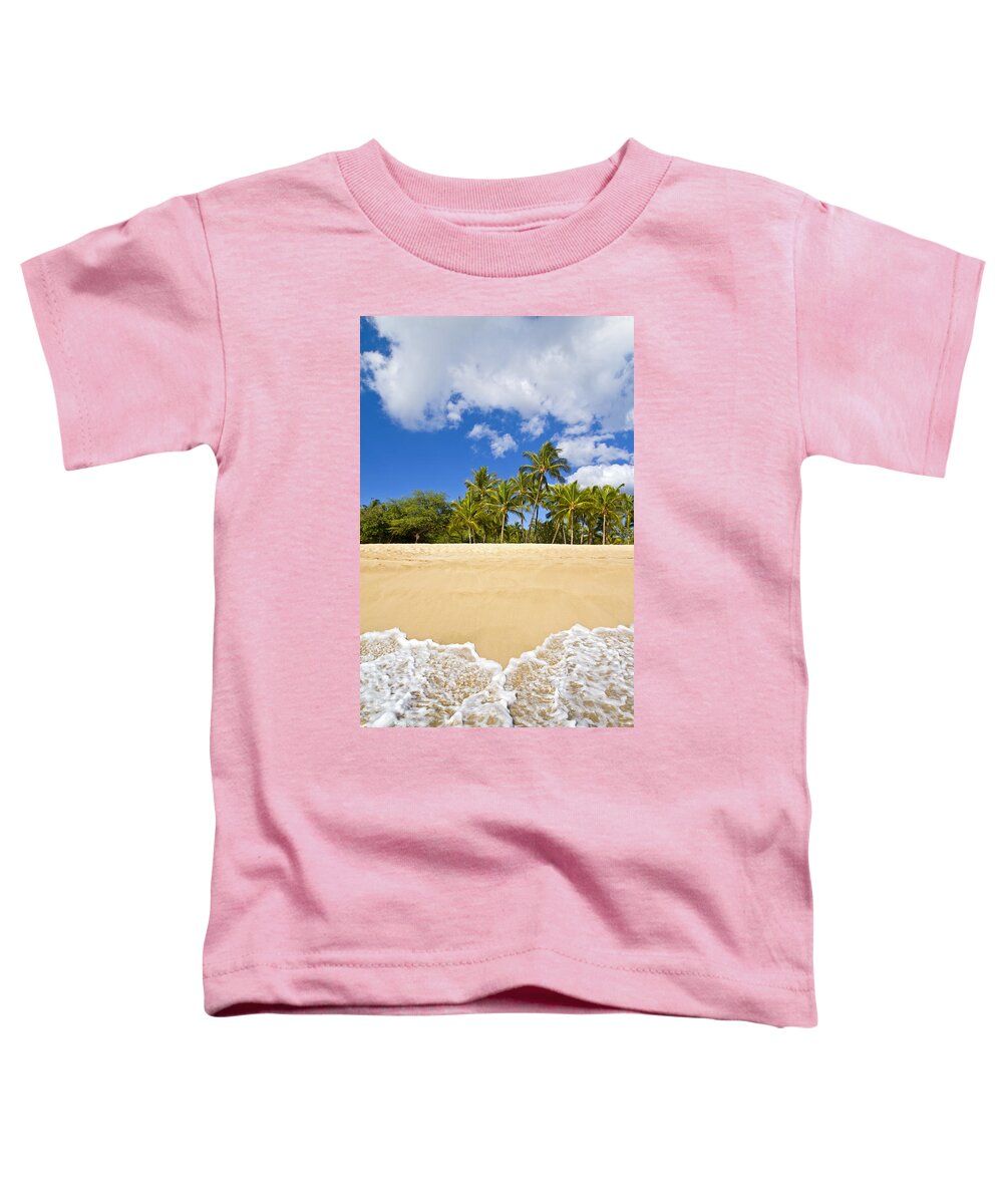 Bay Toddler T-Shirt featuring the photograph Beach from Ocean by Ron Dahlquist