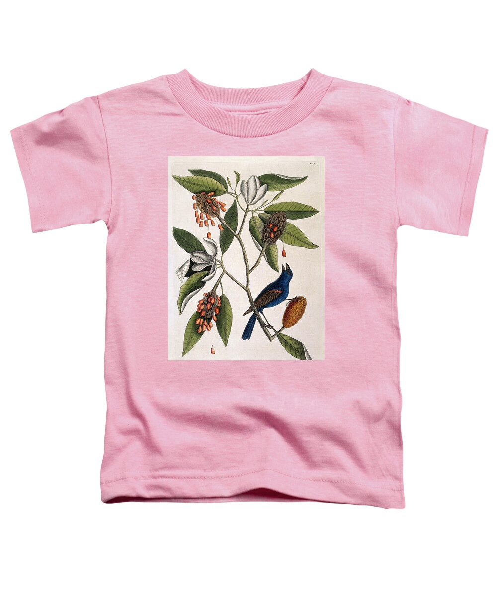 History Toddler T-Shirt featuring the photograph Blue Grosbeak And Sweet Flowering Bay by Wellcome Images