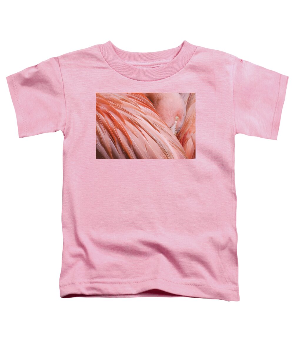 Blushing Flamingo Toddler T-Shirt featuring the photograph Blushing Flamingo by Wes and Dotty Weber