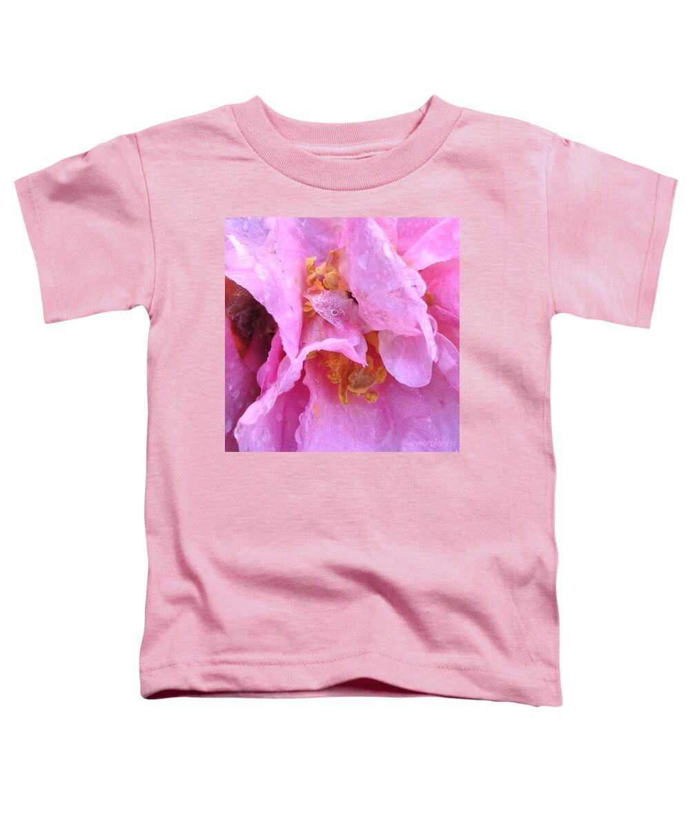 Camellia Parts Toddler T-Shirt featuring the photograph Camellia Parts by Anna Porter