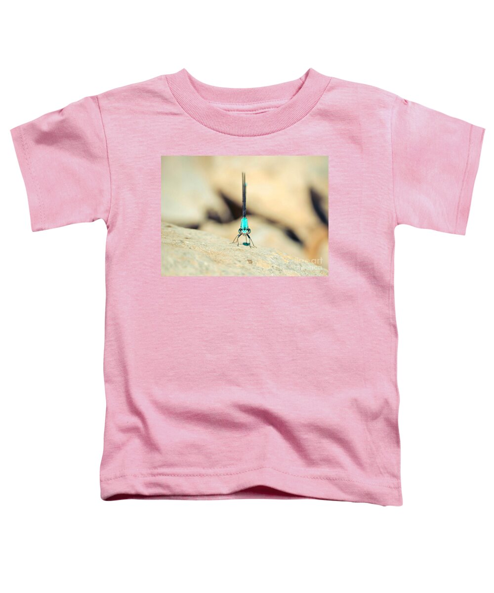  Green Dragonfly Toddler T-Shirt featuring the photograph Can I Bug You Dragonfly by Peggy Franz