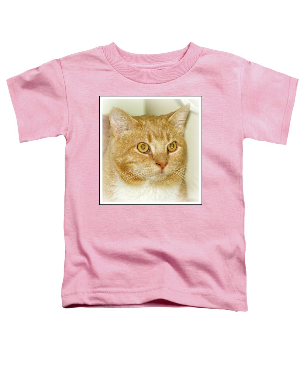 Cat Toddler T-Shirt featuring the photograph Chucky by Jean Goodwin Brooks