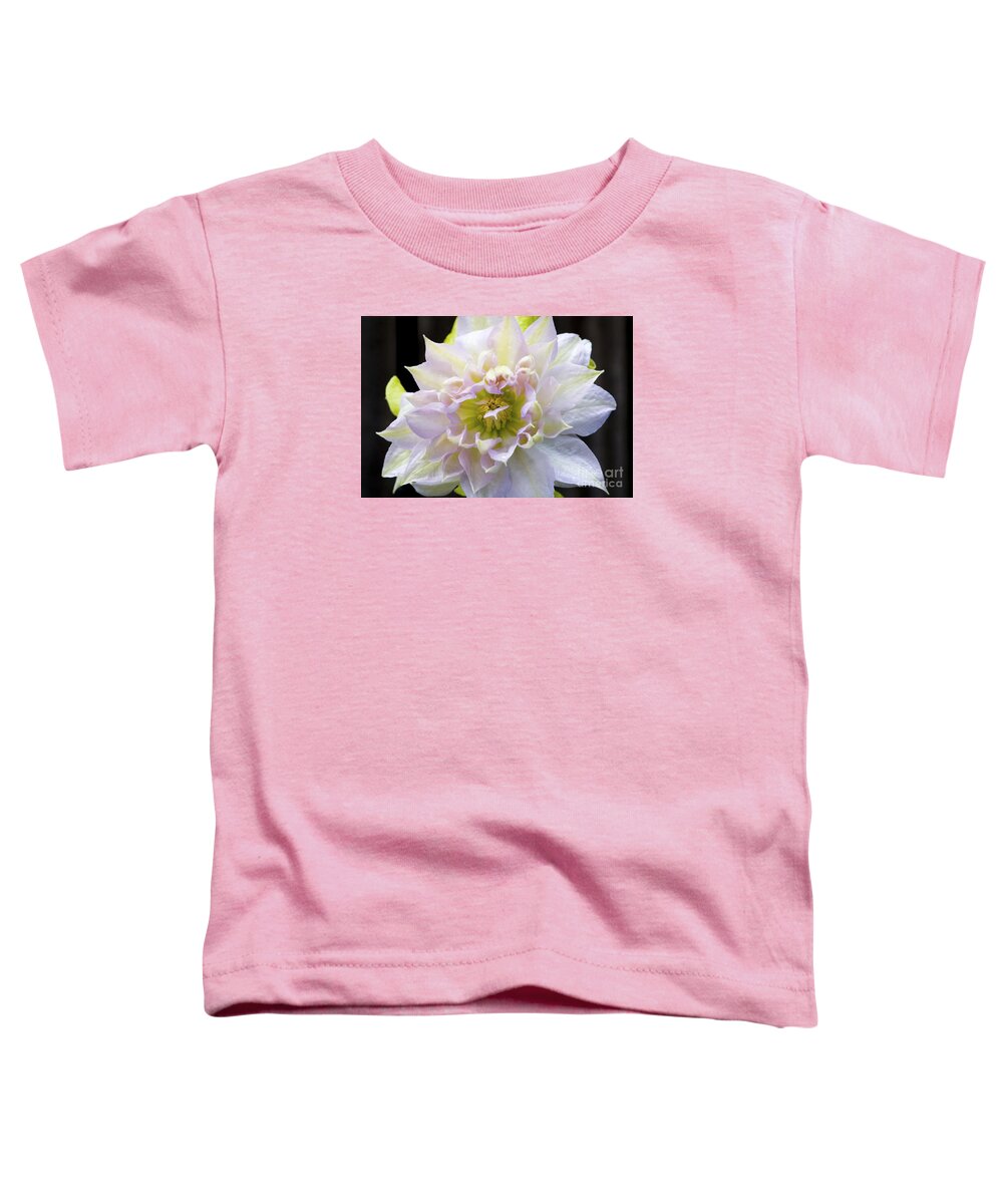 Clematis Toddler T-Shirt featuring the photograph Clematis 'Belle of Woking' by Richard J Thompson 