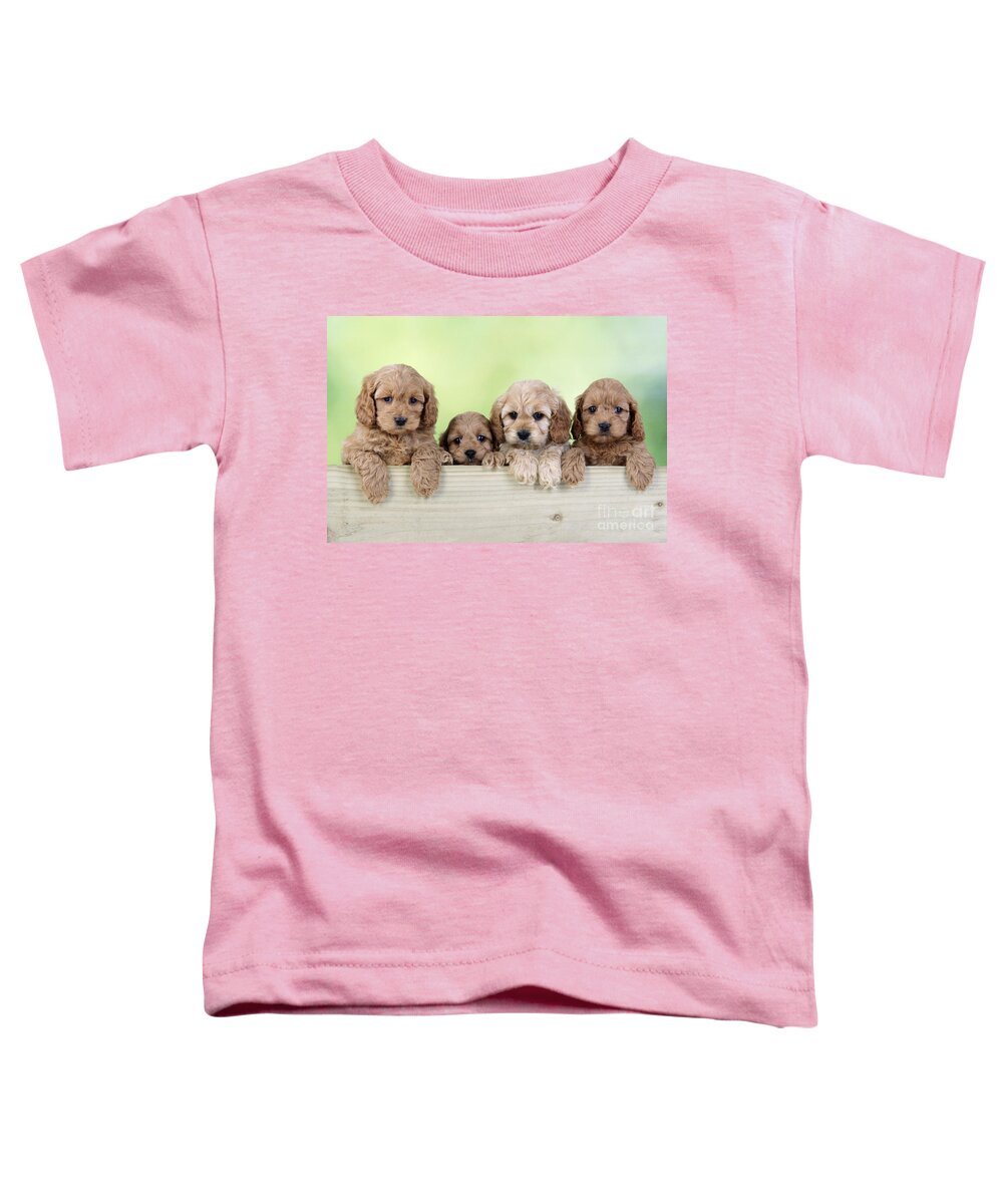 Dog Toddler T-Shirt featuring the photograph Cockapoo Puppy Dogs by John Daniels