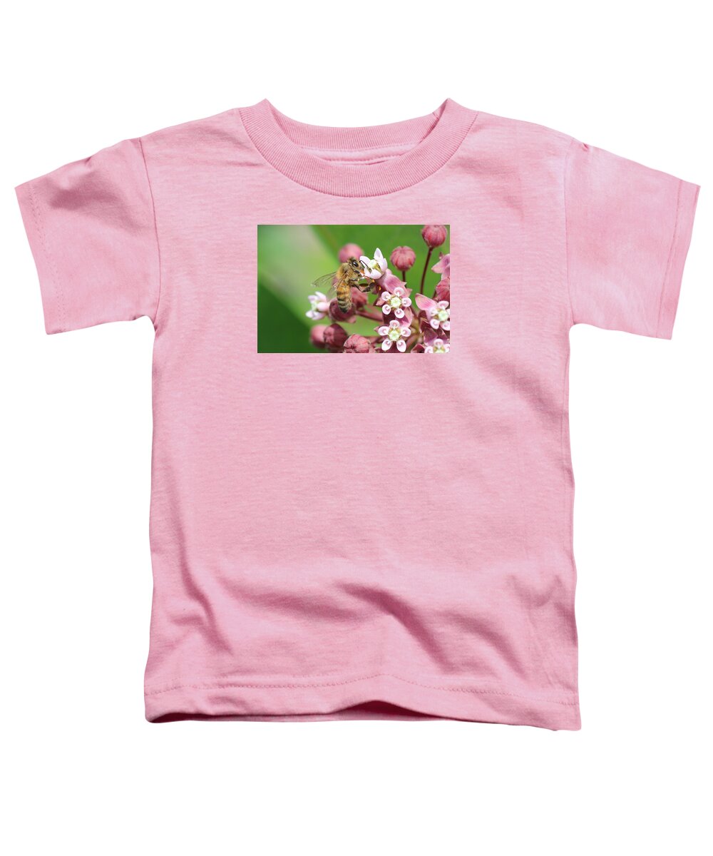 Honeybee Toddler T-Shirt featuring the photograph Crazy for Milkweed by Lucinda VanVleck