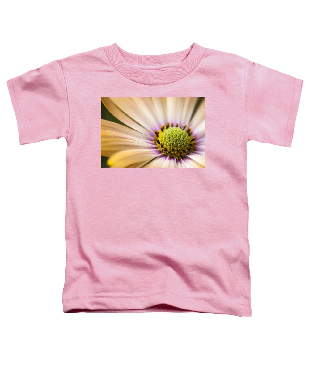Daisy Toddler T-Shirt featuring the photograph Daisy Sunscape by Debbie Karnes
