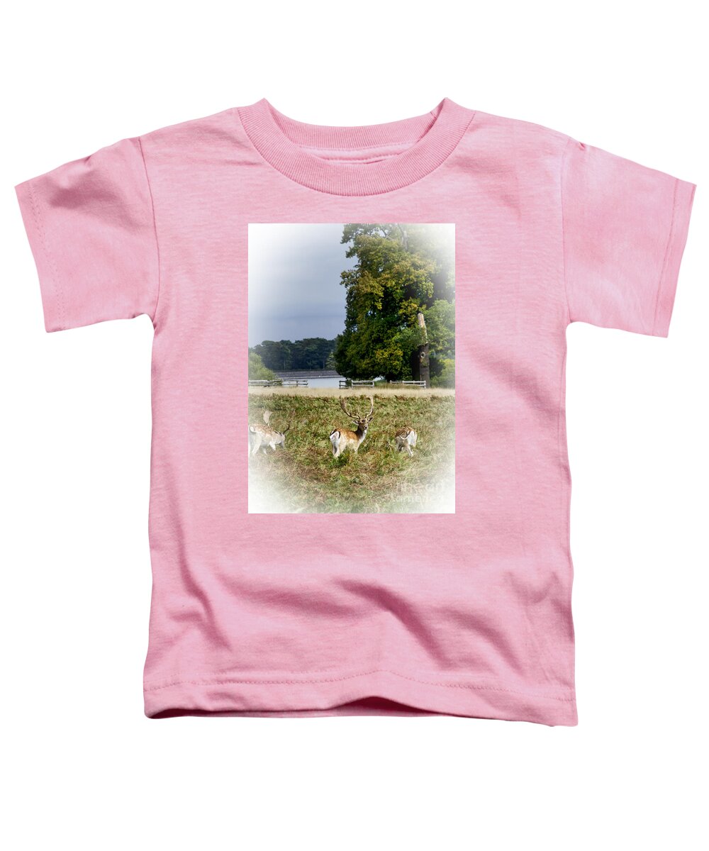 Wildlife Toddler T-Shirt featuring the photograph Deer Park by Linsey Williams