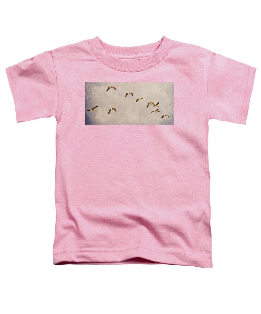 Canada Geese Toddler T-Shirt featuring the photograph Follow the Leader by James BO Insogna
