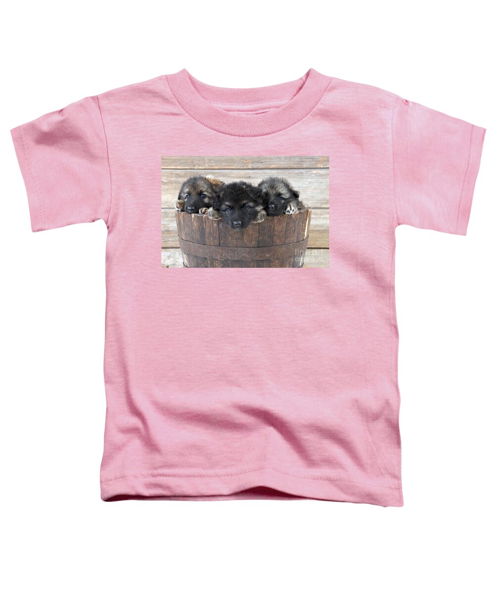 Dog Toddler T-Shirt featuring the photograph German Shepherd Puppies by John Daniels