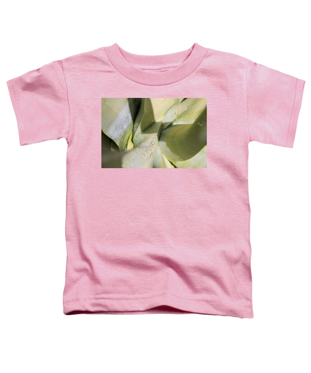 Agave Toddler T-Shirt featuring the photograph Giant Agave Abstract 3 by Scott Campbell