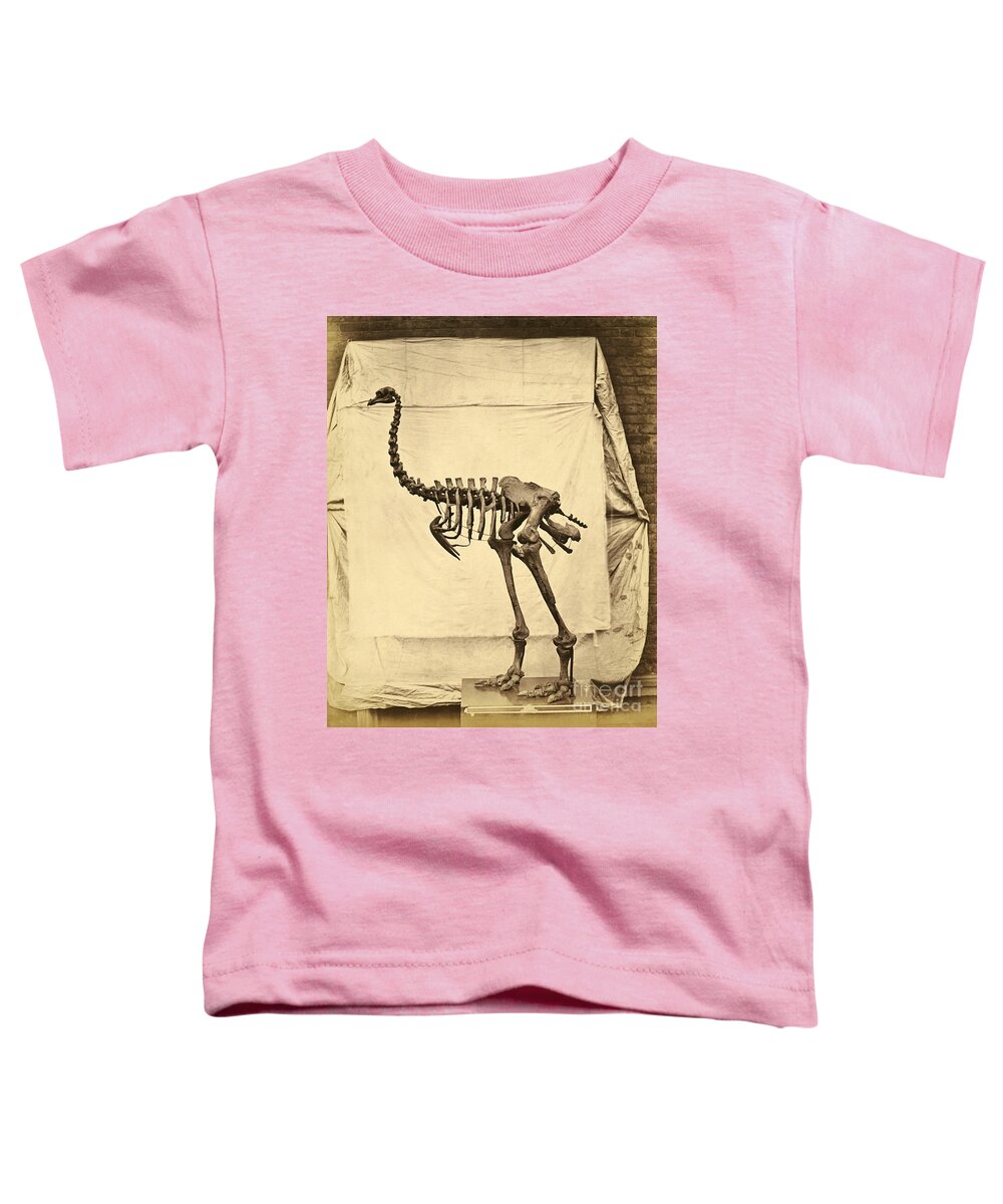 Moa Toddler T-Shirt featuring the photograph Heavy Footed Moa Skeleton by Getty Research Institute