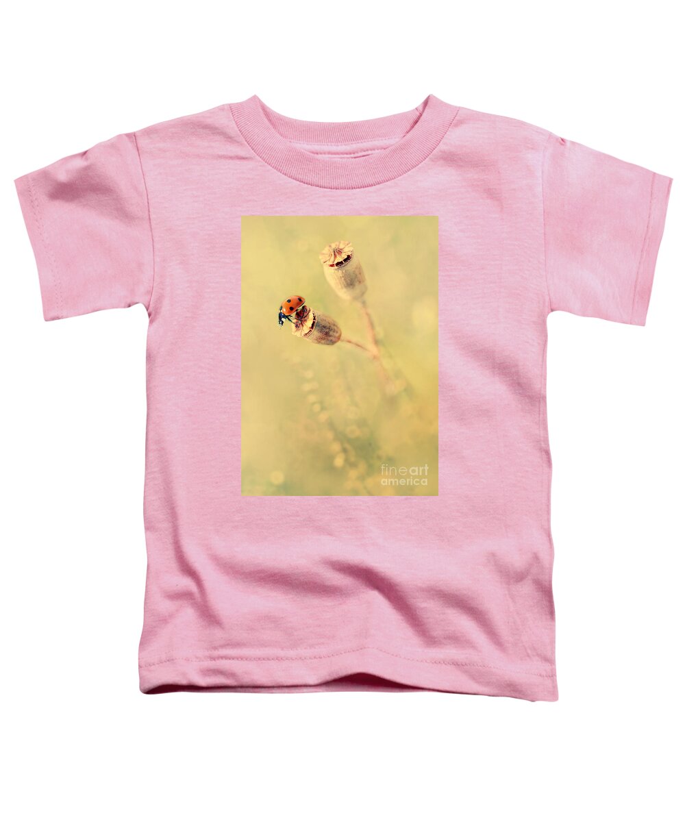 Ladybug Toddler T-Shirt featuring the photograph Impression with dry poppies by Jaroslaw Blaminsky