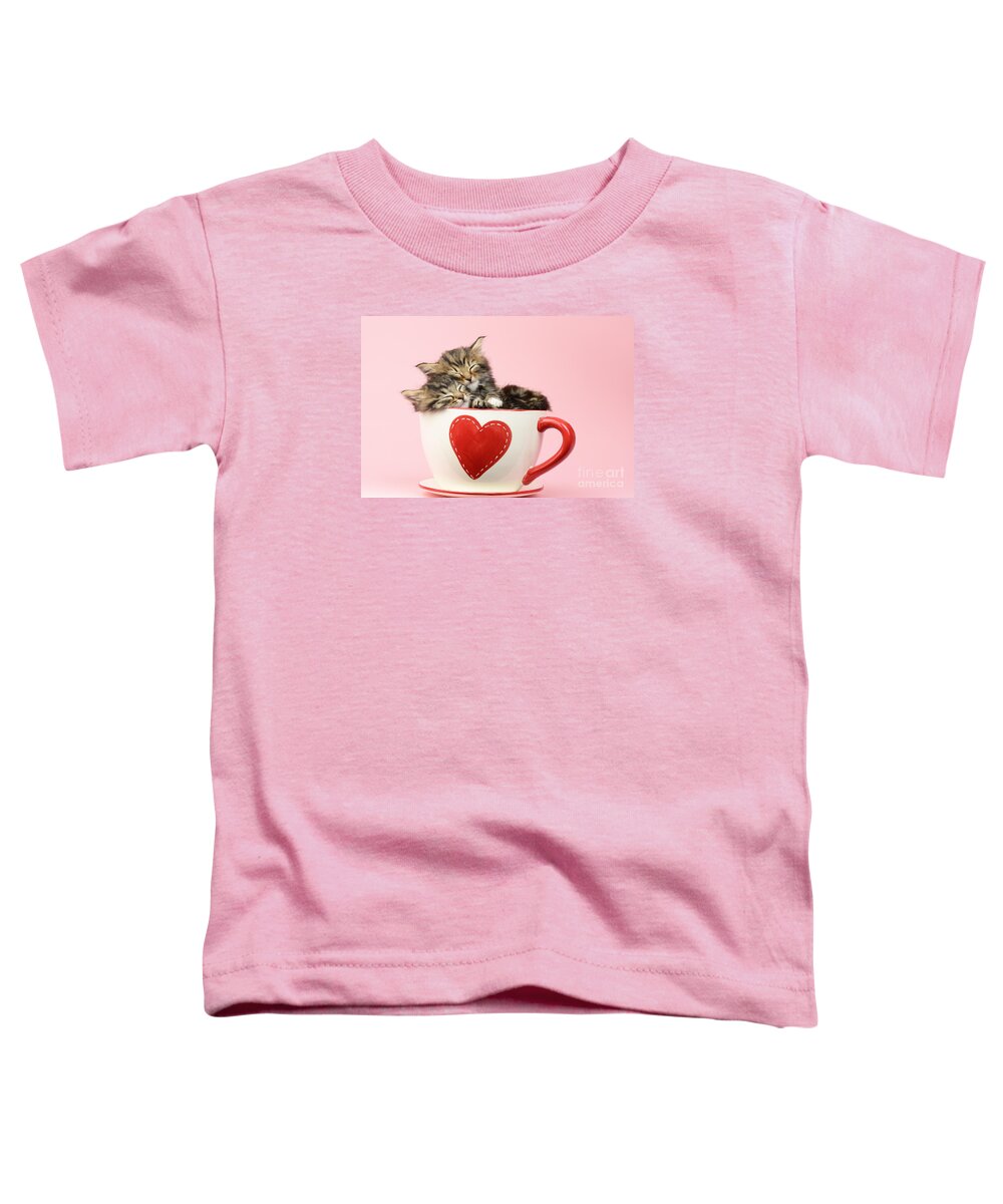 Tabby Toddler T-Shirt featuring the photograph It Must Be Love by MGL Meiklejohn Graphics Licensing