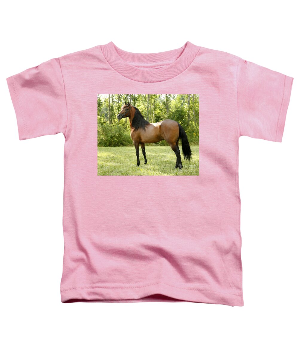 Horse Toddler T-Shirt featuring the photograph I've Got My Eye on You by Carol Lynn Coronios