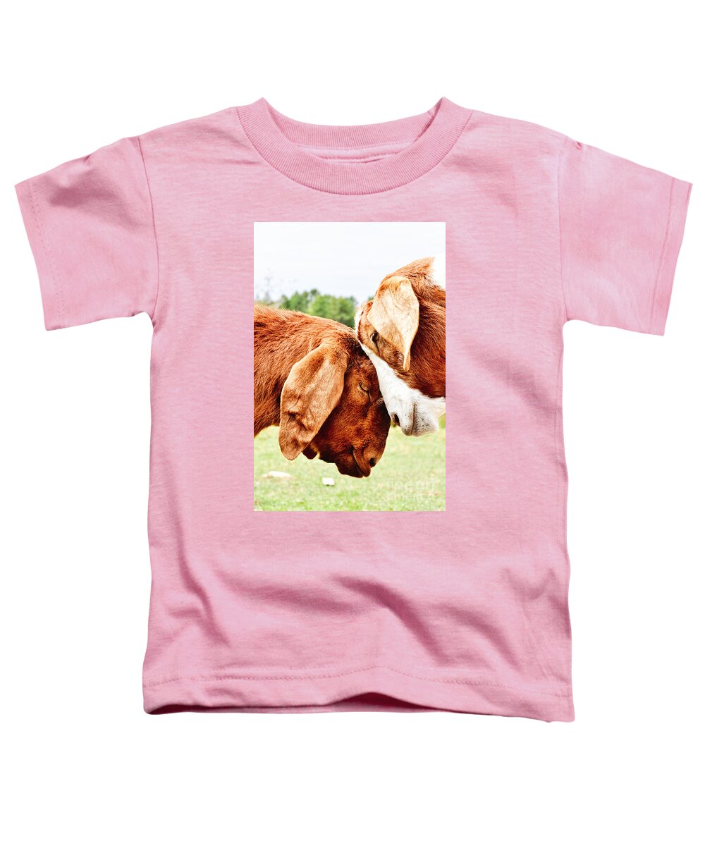 Animals Toddler T-Shirt featuring the photograph Let's Put our Heads Together by Cheryl Baxter