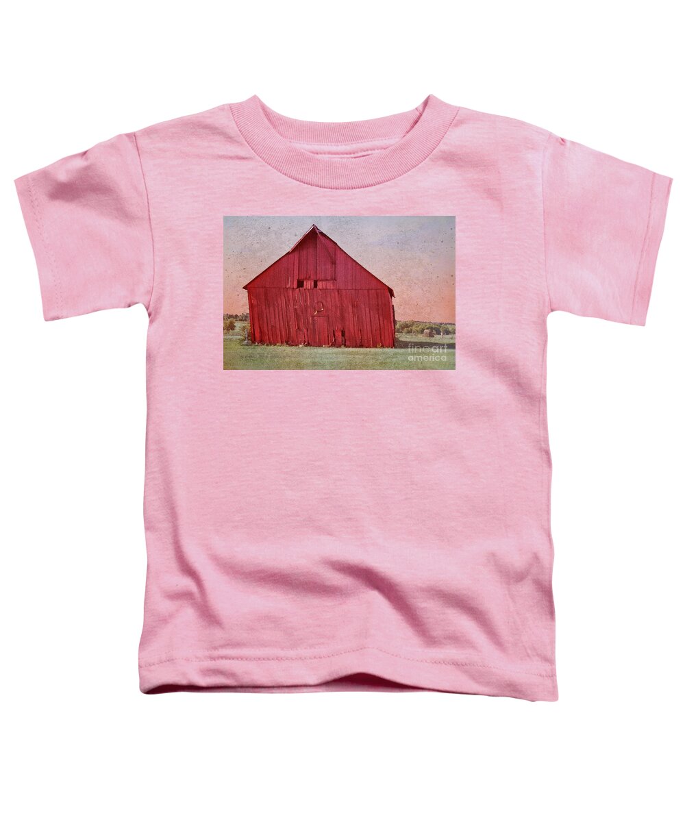 Wooden Barn Toddler T-Shirt featuring the photograph My Days Are Done by Betty LaRue
