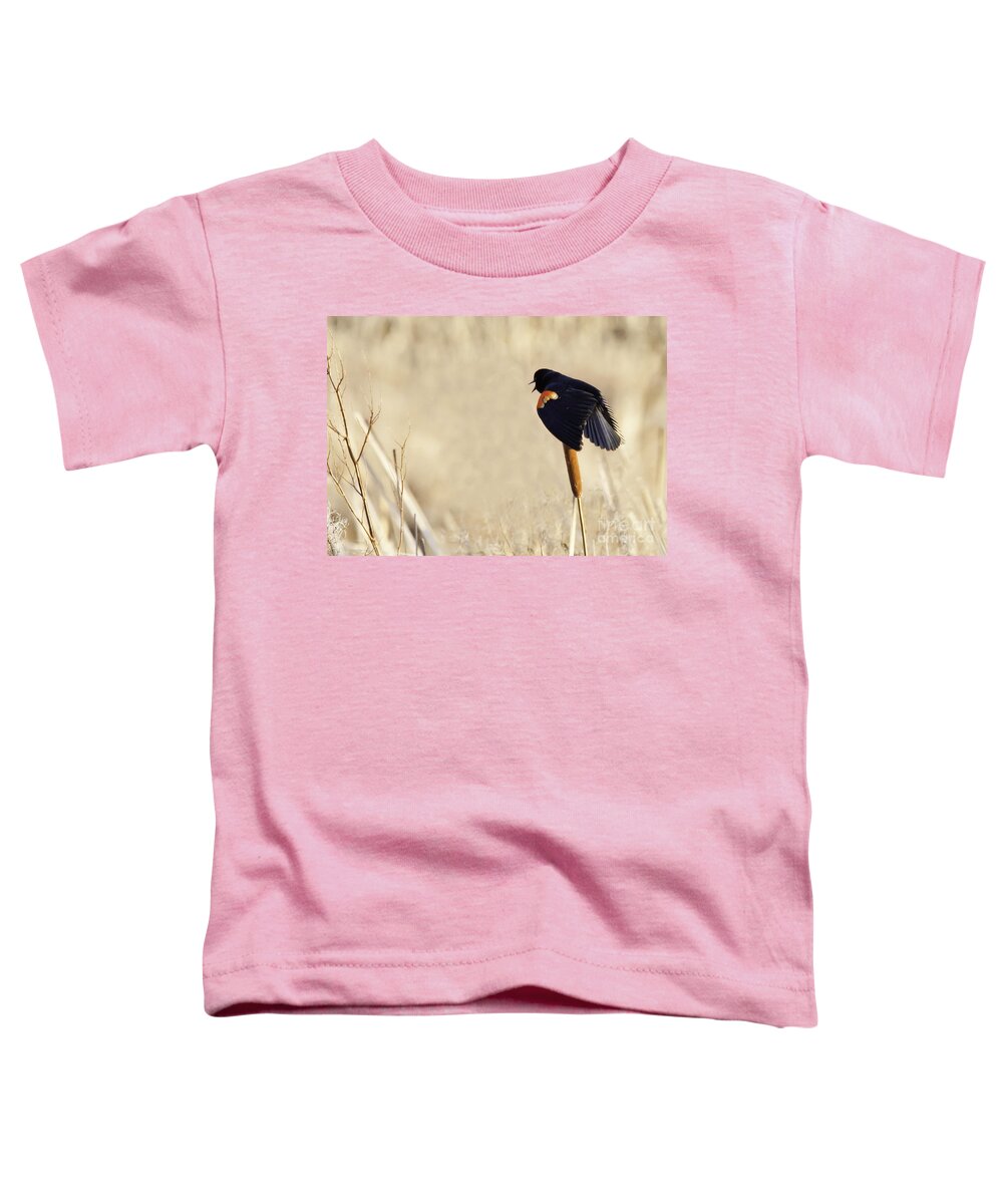 Red-winged Blackbird Toddler T-Shirt featuring the photograph My Marsh by Jan Killian