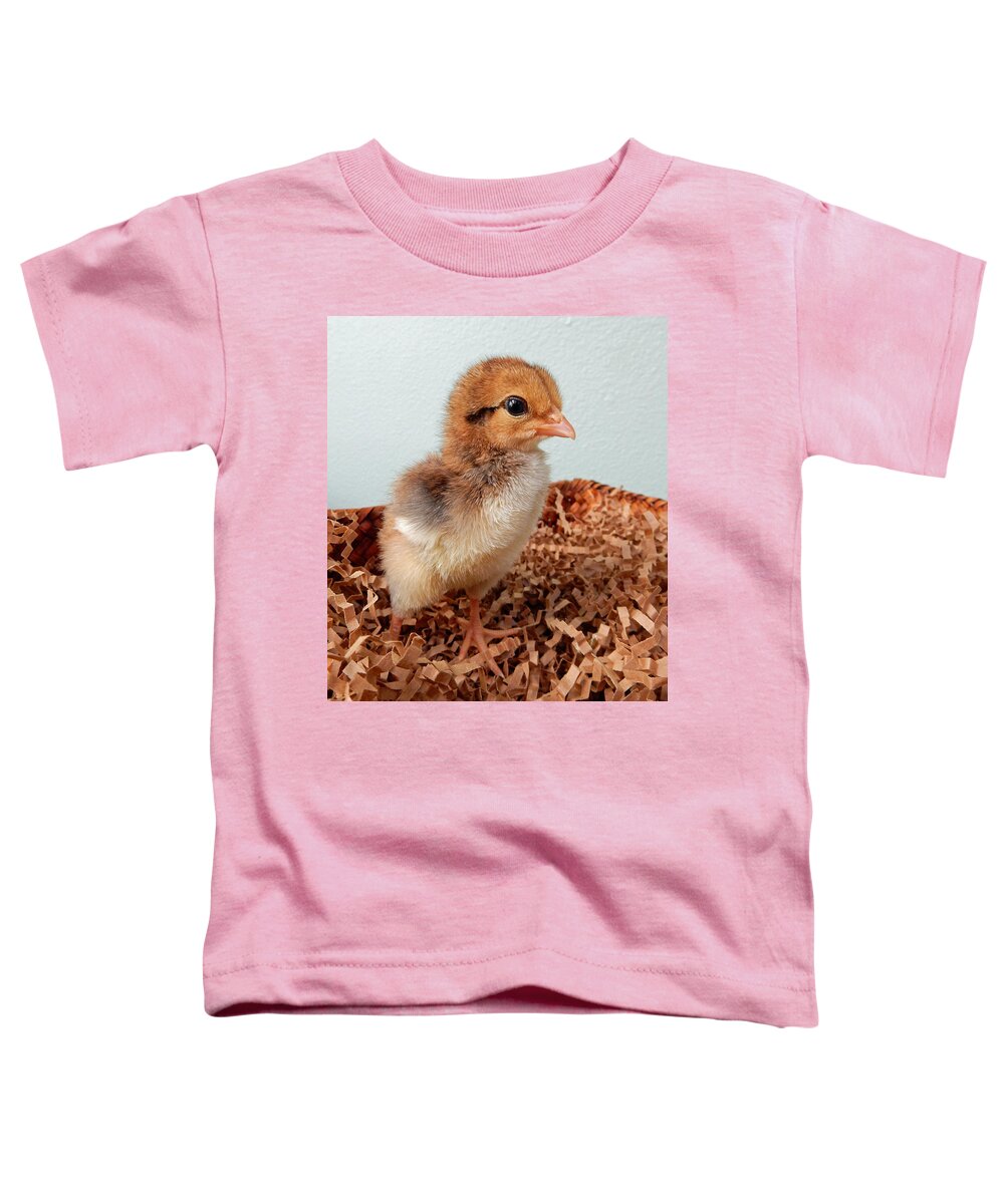 Baby Toddler T-Shirt featuring the photograph Orange Chick by Pamela Walton