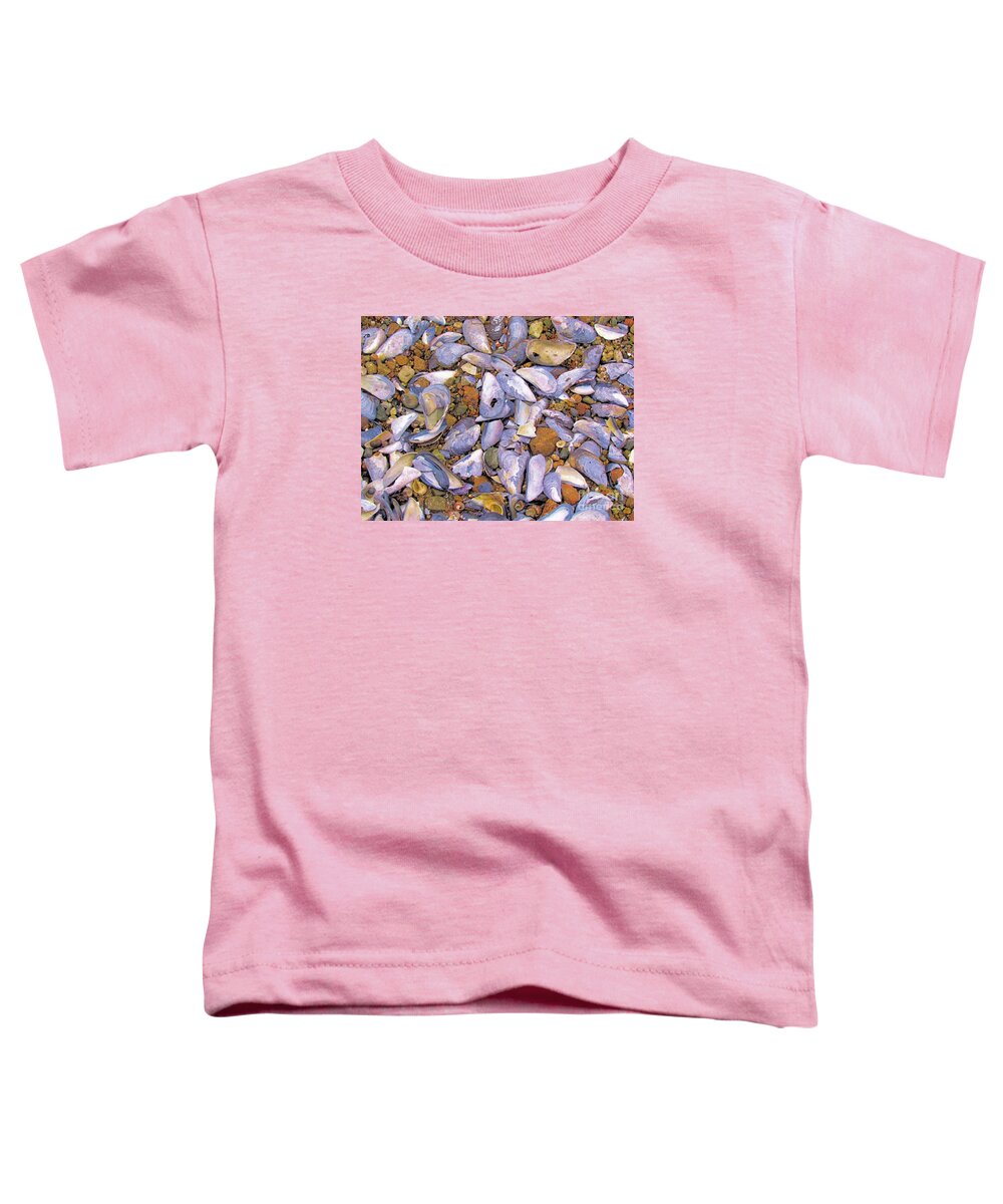 Shells Toddler T-Shirt featuring the photograph Periwinkles Muscles and Clams by Elizabeth Dow