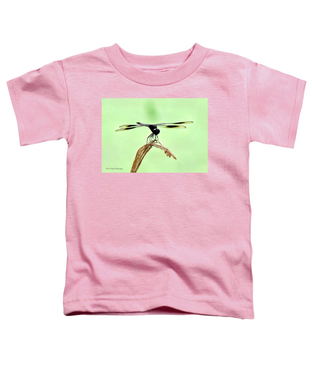 Dragonfly Photograph Toddler T-Shirt featuring the photograph Ready for TakeOff by Lucy VanSwearingen