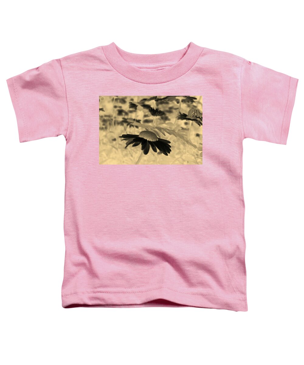 Common Daisy Toddler T-Shirt featuring the photograph Sepia Oxeye Daisy by Taiche Acrylic Art