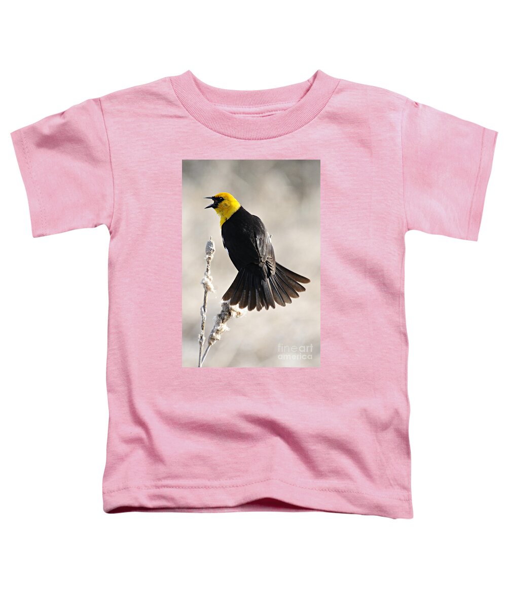 Photography Toddler T-Shirt featuring the photograph Singing Yellow Headed Blackbird by Larry Ricker