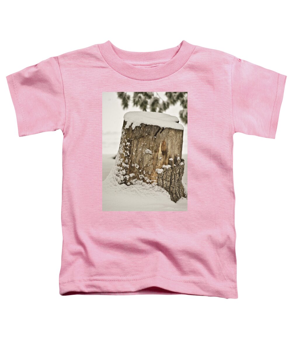Snow Toddler T-Shirt featuring the mixed media Snowy Stumptown by Trish Tritz
