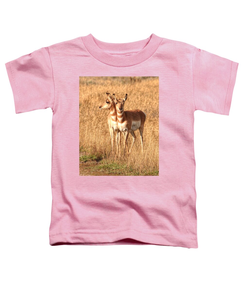 Antelope Toddler T-Shirt featuring the photograph Teton Twins 0067 by Kristina Rinell