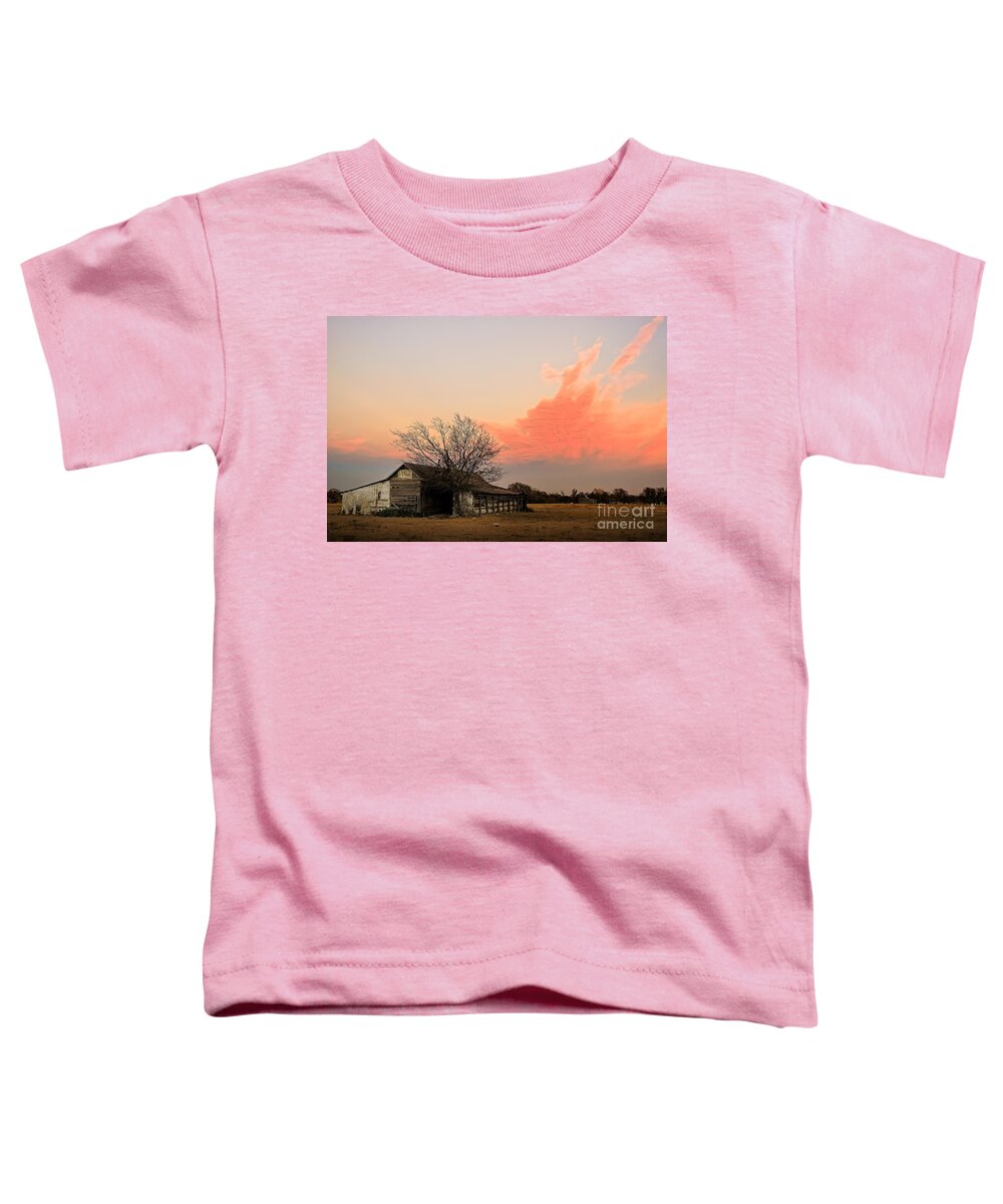 Barn Toddler T-Shirt featuring the photograph Texas sunset by Paul Quinn